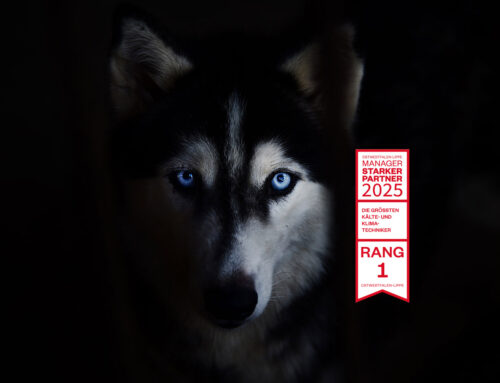 Zimmer & Hälbig erhält erneut die Auszeichnung